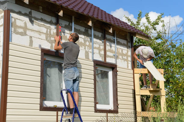 Best Custom Trim and Detailing for Siding  in , IL