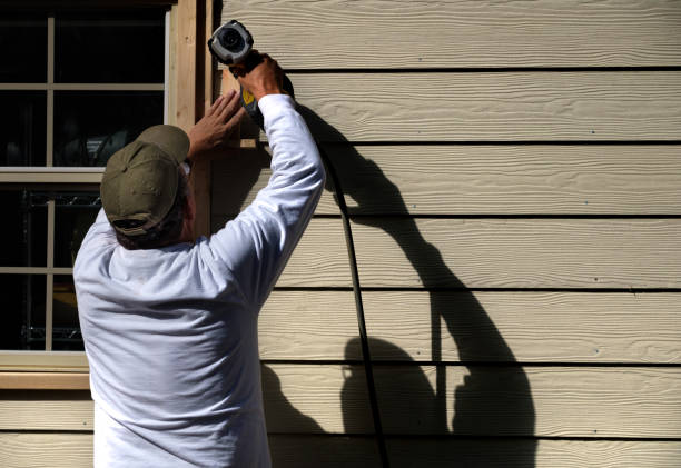 Best Siding Painting and Refinishing  in , IL